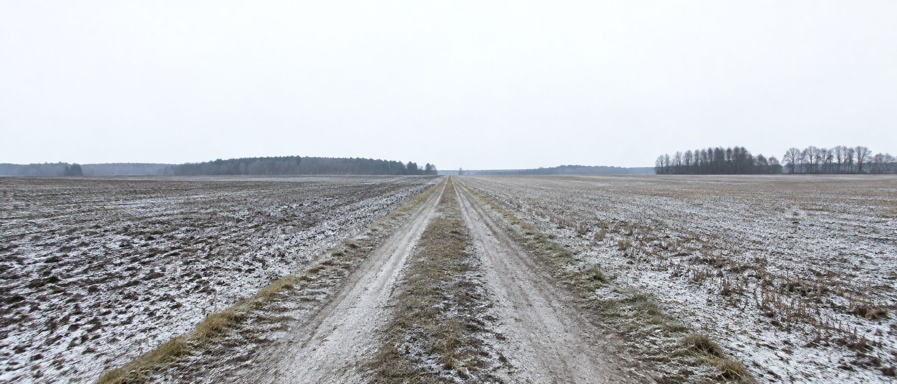 Offene Feldflur bei Nacht, ein Feldweg führt zum Horizont, Bodennebel